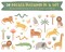 Safari Wall Decals - Removable & Reusable Fabric Wall Stickers, Jungle Animal Decals for Kid's Rooms and Nurseries